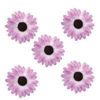 24 Streu Margeriten Köpfe in Fliede gallery