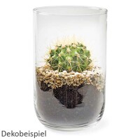 Dekobeispiel Glas Windlicht, Vas gallery 3_2nd