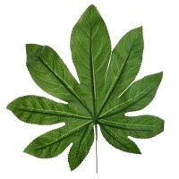 Kunstblume Aralia Dekoblatt am Draht, Bl gallery