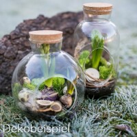 Deko Glasflasche mit Korken, oval, 18 cm 3
