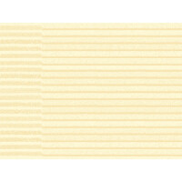 Bio Dunicel® Tischsets Painted Tulip gallery