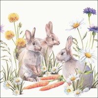 20er Pack Servietten Ostern, Hasen in de gallery