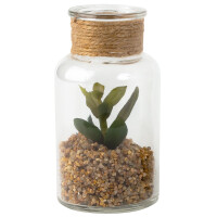 Kunstblume Sukkulente im Glas, Nr. 1, 12,5 cm