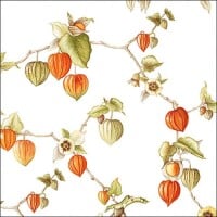 20er Pack Servietten Physalis, Lampionblumen,