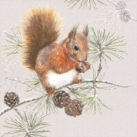20er Pack Servietten Eichhörnchen i gallery