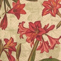 20er Pack Eco Line Servietten, Rote Amar gallery