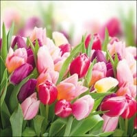 20er Pack Servietten Tulpen, 33 x 33 cm. gallery