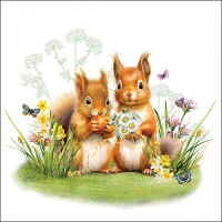 20er Pack Servietten Eichhörnchen i gallery