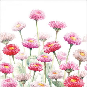 20er Pack Servietten Bellis Blumen, 33 x 33 cm.