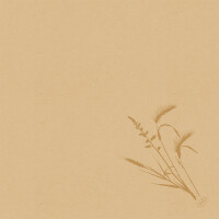 Duni Bio Dunisoft Servietten Meadow Natu gallery