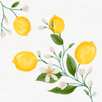 Duni Bio Dunisoft Servietten Lemon Fiest gallery
