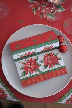 Weihnachtsstern_02