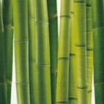 Servietten Bambus