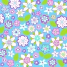 Lola blau