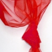 Organza rot