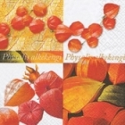 Serviette Physalis