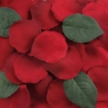 Rosenblätter in Bordeaux