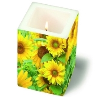 eckige Stumpenkerze Sonnenblume