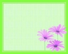 Duni Tischsets