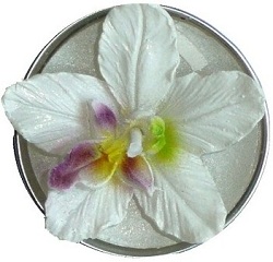 Orchideen Teelicht