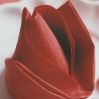 Serviette Duni Dunilin