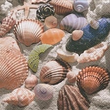 Serviette Shells in the sand
