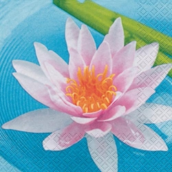 Serviette Water Lily