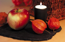 autumn203