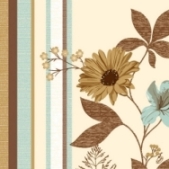 cietta_flower