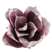 kunstblume_rosa