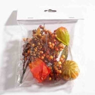 physalis_mix