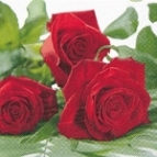 rosen_servietten
