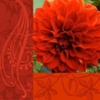 serviette_feuerrot