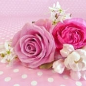servietten_pinkromance