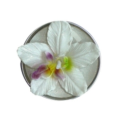 teelicht_orchidee