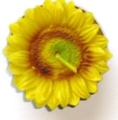 teelicht_sonnenblume