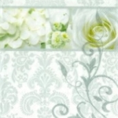 white_cloud